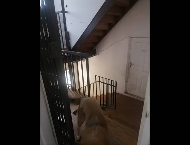 3 BEDROOM APARTMENT TO LET IN WESTVILLE